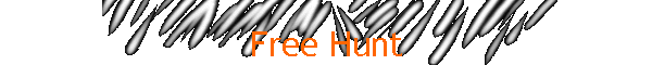 Free Hunt